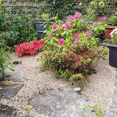 The Townhouse بيت ضيافة Carrick on Shannon